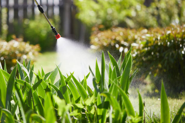 24/7 Emergency Mosquito Control experts in Canal Winchester, OH
